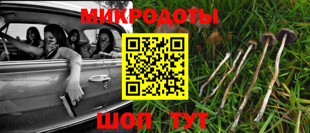 Галлюциногенные грибы Magic Shrooms Братск