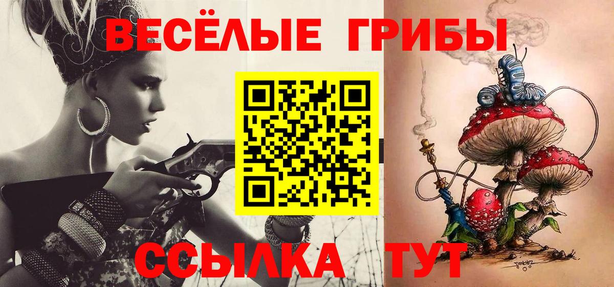 Галлюциногенные грибы MAGIC MUSHROOMS  Псилоцибиновые грибы Psilocybine cubensis  Братск  купить   Вход с VPN 